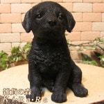 �ꥢ��ʸ�����ʪ����֥�ɡ����ȥ�С����֥�å���������֡����¤� �Ҹ��Υե��������������Υ���ƥꥢ�ˤ����Υ����ʥ��ȤȤ��Ƥ����