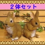 ���������Υ���ƥꥢ�ˤ����Υ����ʥ��ȤȤ��Ƥ�����ꥢ��ʥ���������ʪ���Ҥ��������Υ��åȡ���