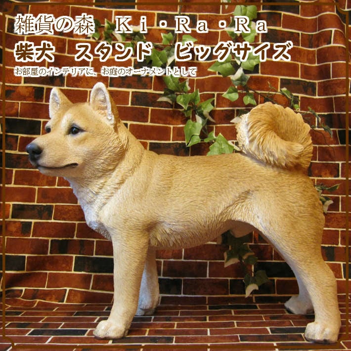 犬の置物 柴犬 成犬 スタンド ビッグサイズ 大きくてリアルな