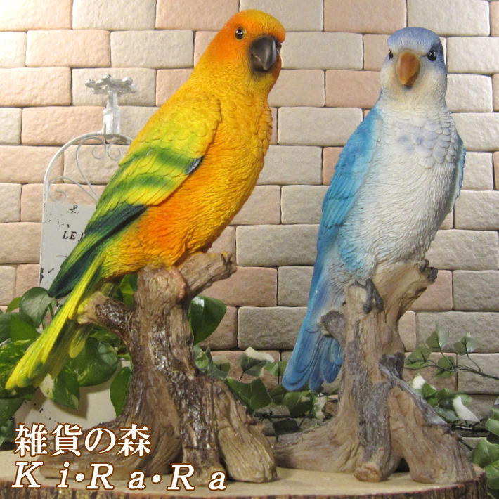 リアルな鳥の置物 レジン製 フレンズ インコ ミドルセット とり