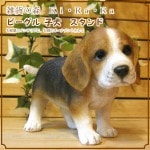 ���������Υ���ƥꥢ�ˤ����Υ����ʥ��ȤȤ��Ƥ�����ꥢ��ʸ�����ʪ���ӡ����롡�Ҥ��̤Υե�������������ɥ�����