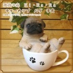 �ꥢ��ʸ�����ʪ���ƥ������åס��ѥ����¥����ס��������Υ���ƥꥢ�ˤ����Υ����ʥ��ȤȤ��Ƥ�������Ҥ��̤Υե������������ǥ˥󥰡����֥�����������