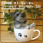 ꥢʸʪʥƥåץɥå¥סΥƥꥢˤΥʥȤȤƤҤ̤Υեǥ˥󥰡֥