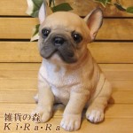 ΥƥꥢˤΥʥȤȤƤꥢʸʪե֥ɥåҸ¤꥿סҸΥե