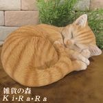 ꥢǭʪ꡼ԥ󥰥åȡȥ顡ͤưʪ֥ǥ󡡥ʥȡŹޡ󥿡֥ƥꥢ衡