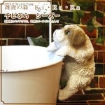 ���������Υ���ƥꥢ�ˤ����Υ����ʥ��ȤȤ��Ƥ�����ꥢ��ʸ�����ʪ�����Ӥ֤顡�������������̤Υե��������ɥå����֥����������ǥ˥󥰡�����������