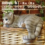 �ꥢ��ʤͤ�����ʪ�������٤ꥭ��åȡ��֥饦�󥰥졼���쥸�����ͥ��Υե��������������Υ���ƥꥢ�˥����ǥ˥󥰤��Ǻ��