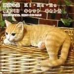 �ꥢ��ʤͤ�����ʪ�������٤ꥭ��åȡ���ȥ顡�쥸�����ͥ��Υե��������������Υ���ƥꥢ�˥����ǥ˥󥰤��Ǻ��