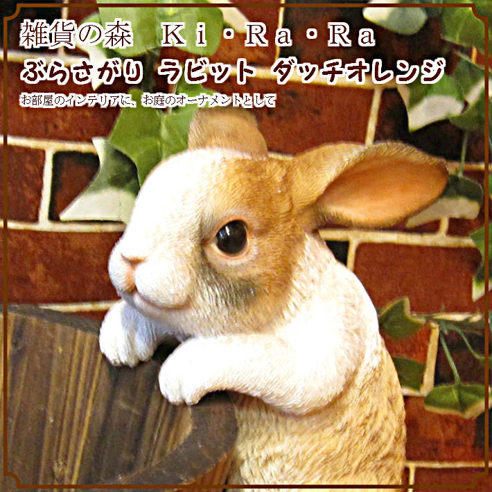 クリーム色 白 ウサギ うさぎ ぬいぐるみ リアル 可愛い 子