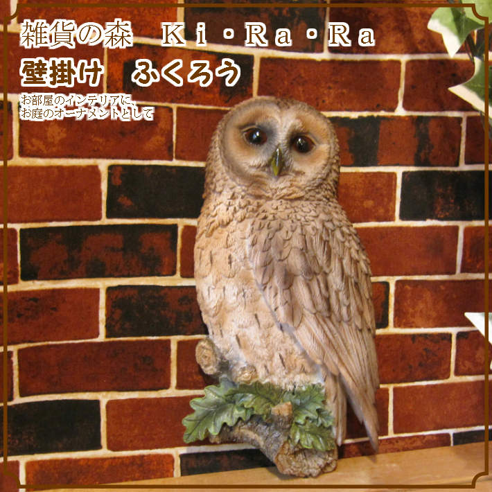 茶色いブラウン しぇふ染め×かけるり 土身フクロウ 4904790739125-4.jpg