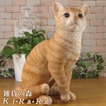 �ꥢ���ǭ����ʪ������ȥ顡���¤ꡡ�ͥ����ͤ�������åȡ����֥�����Ź��������������������ƥꥢ�������ǥ˥󥰡��Ǻࡡ�٥���������