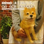 ������ʪ���Ƹ������������¤ꡡ�ӥå������������礭���ƥꥢ��ʥ��̤���ʪ���ɥå����֥��������������ǥ˥󥰡���������