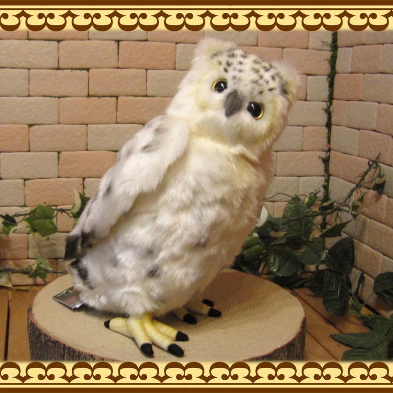  シロフクロウ　オウル　owl PET BANK OWL（ペットバンク オウル）SNOWY シロフクロウ