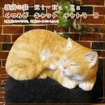 �ꥢ��ʥͥ�����ʪ�����Ĥ�������åȡ��¥����ס��ͤ��Υե����奢��ǭ���֥������������Υ���ƥꥢ�ˤ����Υ����ʥ��ȤȤ��Ƥ����