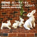 ���������Υ���ƥꥢ�ˤ����Υ����ʥ��ȤȤ��Ƥ�����ꥢ��ʥ���������ʪ����ӥåȡ��ե��ߥ꡼�����Υ��åȡ��������Υե����奢���Хˡ����֥���