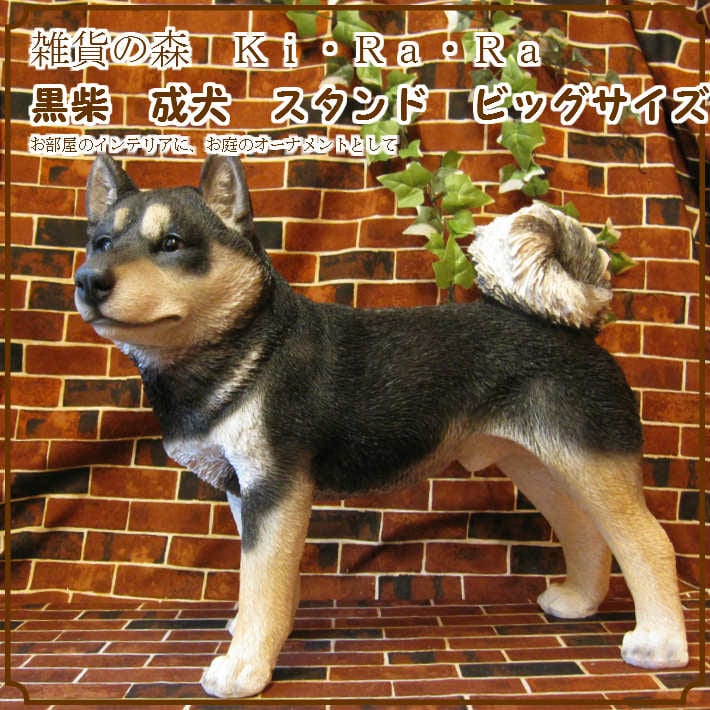 柴犬の置物 黒柴 成犬 スタンド ビッグサイズ 大きくてリアルな