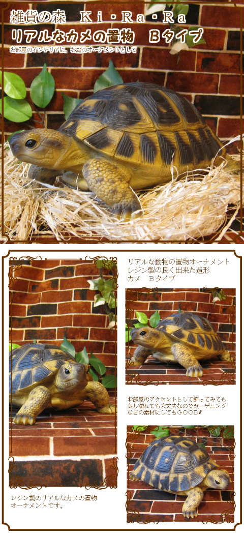置物インテリア 亀の置物本物 インテリア 石材 置物 カメ 亀の置物