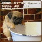 ���������Υ���ƥꥢ�ˤ����Υ����ʥ��ȤȤ��Ƥ�����ꥢ��ʸ�����ʪ�����Ӥ֤顡�ѥ������̤Υե��������ɥå����֥����������ǥ˥󥰡�����������