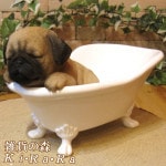 �ꥢ��ʸ�����ʪ���Х����֡��ɥå����ѥ������̤Υե����奢�����̤Υ��֥��������������Υ���ƥꥢ�ˤ����Υ����ʥ��ȤȤ��Ƥ��