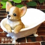 ���������Υ���ƥꥢ�ˤ����Υ����ʥ��ȤȤ��Ƥ�����ꥢ��ʸ�����ʪ���Х����֡��ɥå����������̤Υե����奢�����̤Υ��֥���