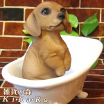 ���������Υ���ƥꥢ�ˤ����Υ����ʥ��ȤȤ��Ƥ�����ꥢ��ʸ�����ʪ���Х����֡��ɥå������å����ե�ȡ����̤Υե����奢�����̤Υ��֥���