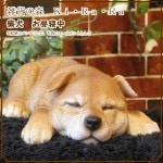 �ꥢ��ʸ�����ʪ���Ƹ����Ҥ��̡����뿲����������Υ���ƥꥢ�ˤ����Υ����ʥ��ȤȤ��Ƥ�������̥��֥������ե����奢�������ǥ˥󥰡�������