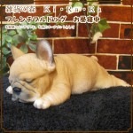 ꥢʸʪե֥ɥåҤ̡뿲桡סΥƥꥢˤΥʥȤȤƤ̥֥ե奢ǥ˥󥰡