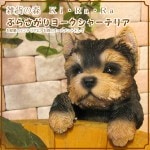 ヨークシャーテリア 置物 リアルな犬のオブジェ ぶらさがりドッグ いぬのフィギア ◇お部屋のインテリアにお庭のオーナメントとしても♪