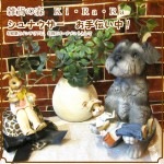 ꥢʸʪʥ桪ΥƥꥢˤΥʥȤȤƤҤ̤Υեǥ˥󥰡֥