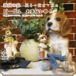 �ꥢ��ʸ�����ʪ���ӡ����롡���������桪���������Υ���ƥꥢ�ˤ����Υ����ʥ��ȤȤ��Ƥ�������Ҥ��̤Υե������������ǥ˥󥰡����֥�����������