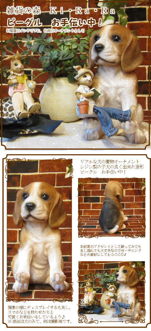 リアルな犬の置物 ビーグル お手伝い中！◇お部屋のインテリアに