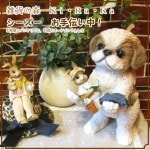 �ꥢ��ʸ�����ʪ���������������������桪���������Υ���ƥꥢ�ˤ����Υ����ʥ��ȤȤ��Ƥ�������Ҥ��̤Υե������������ǥ˥󥰡����֥�����������