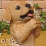 ���������Υ���ƥꥢ�ˤ����Υ����ʥ��ȤȤ��Ƥ�����ꥢ��ʸ�����ʪ�����ꤤ�ɥå�����֥�ɡ����ȥ�С������̤Υե����奢�����̤Υ��֥���