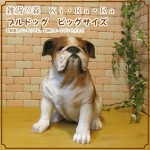 ֥ɥå¤ꡡӥå礭ƥꥢʥ̤ʪɥå֥ǥ˥󥰡ΥƥꥢˤΥʥȤȤƤ