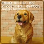 ������ǥ��ȥ�С������������¤ꡡ�ӥå����������礭���ƥꥢ��ʥ��̤���ʪ���ɥå����֥��������������ǥ˥󥰡��������Υ���ƥꥢ�ˤ����Υ����ʥ��ȤȤ��Ƥ����