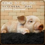 Ҥ֤ꥢڤʪȥȡͤͤࡡ֤ΥեΥƥꥢˤΥʥȤȤƤ