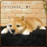 豆柴 リアルな柴犬の置物 ウトウト・ねむねむ しばいぬのフィギア シバケン◇お部屋のインテリアにお庭のオーナメントとしても♪