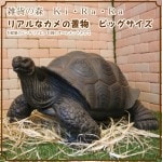 �ꥢ��ʥ������ʪ���ӥå����������������ᡡ���ᥪ�֥��������Υե����奢�������ǥ˥󥰡������ʥ���