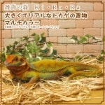 �ꥢ��ʥȥ�������ʪ���������ʡ��ޥ�����顼������ࡡ�ե����奢�������ǥ˥󥰡������ʥ��ȡ�����ƥꥢ��������