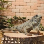 �ꥢ��ʥȥ�������ʪ���������ʡ��¥����ס�����ࡡ�ե����奢�������ǥ˥󥰡��ɥ饴�󥪡��ʥ��ȡ�����ƥꥢ��������