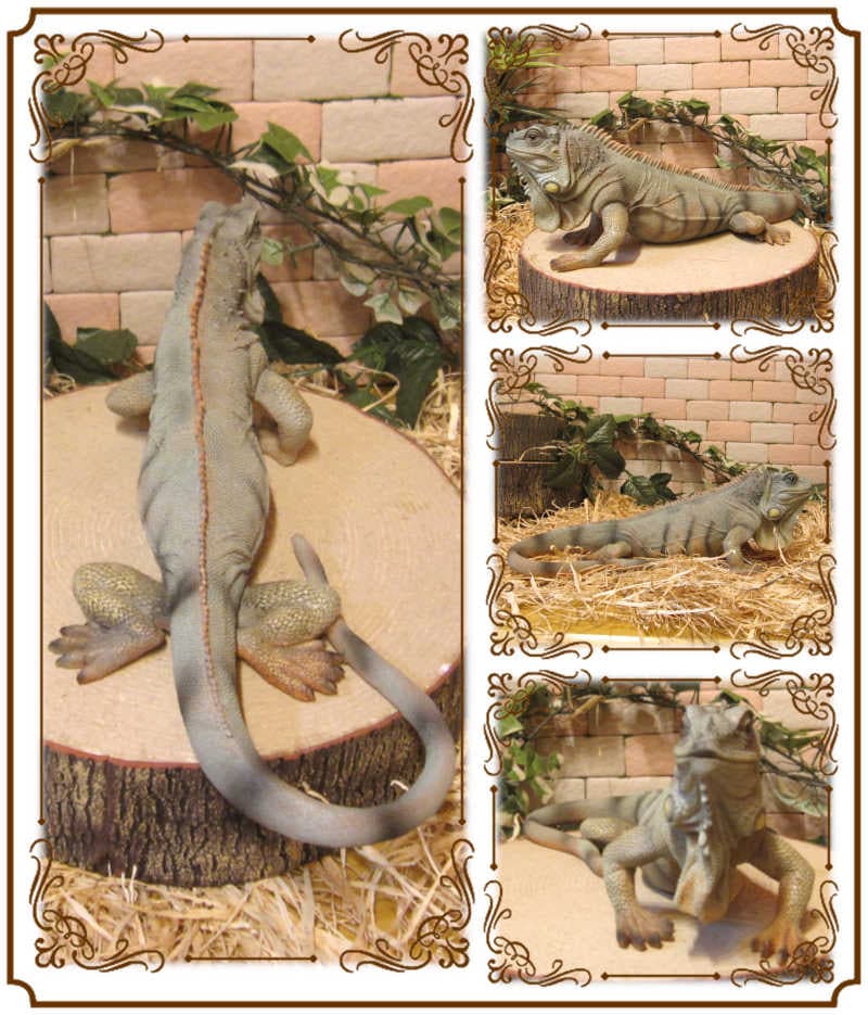 リアルなトカゲの置物 イグアナ Bタイプ 爬虫類 フィギュア