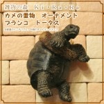 �ꥢ��ʥ������ʪ���֥�󥳡��ȡ����������ᥪ�֥��������Υե����奢�������ǥ˥󥰡������ʥ���