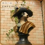 �ͥ�����ʪ��EMPEROR��CAT���礭�ʤͤ��Υե����奢������ƥ�����Ĵ��ǭ���֥������������Υ���ƥꥢ�ˢ���