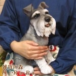 ʪʥ顼ꥢʸʪɥå̡̡ưʪ֥ǥ󥪡ʥȡե奢աƥꥢ衡