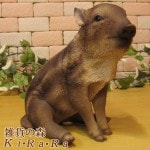 ���Υ�������ʪ������ܤ����¤ꡡ�����֥������쥸���������Τ����ե����奢���ﵯʪ�����١�����ƥꥢ�������ǥ˥��Ǻ�