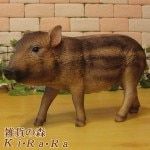 ���Υ�������ʪ������ܤ���������ɡ������֥������쥸���������Τ����ե����奢���ﵯʪ�����١�����ƥꥢ�������ǥ˥��Ǻ�