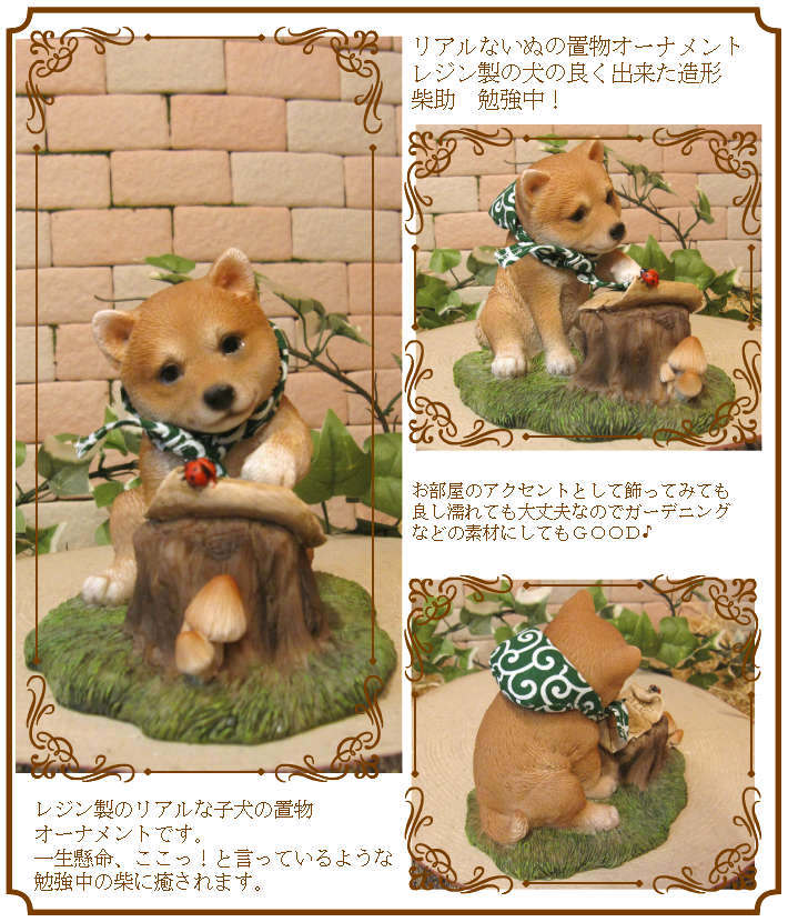 柴犬の置物 子いぬ 柴助 勉強中！ イヌオブジェ フィギュア