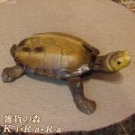 カメの置物 Eタイプ かめオブジェ 亀のフィギュア ガーデニング オーナメント