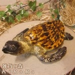 �ꥢ��ʥ������ʪ�����������ᥪ�֥��������Υե����奢�������ǥ˥󥰡������ʥ���