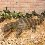 �ꥢ��ʥ�ˤ���ʪ�������������롡�ӥå�������������ࡡ�ե����奢�������ǥ˥󥰡������ʥ���